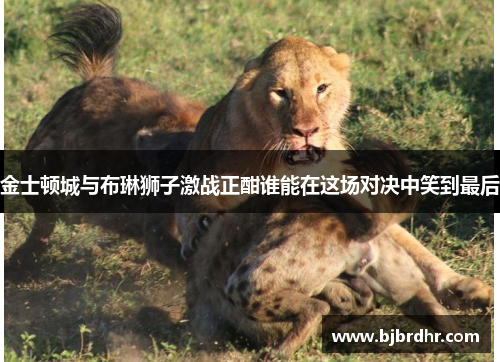 金士顿城与布琳狮子激战正酣谁能在这场对决中笑到最后